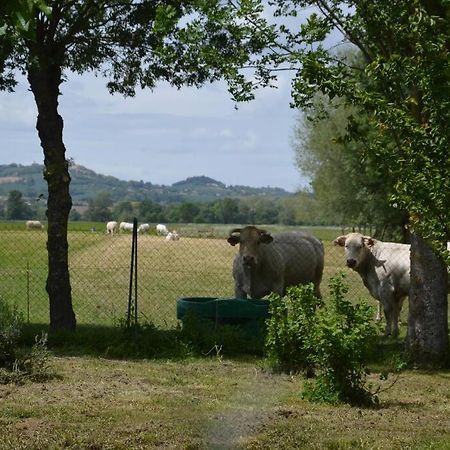 Gite A La Ferme De La Bouriette Revel  Bagian luar foto