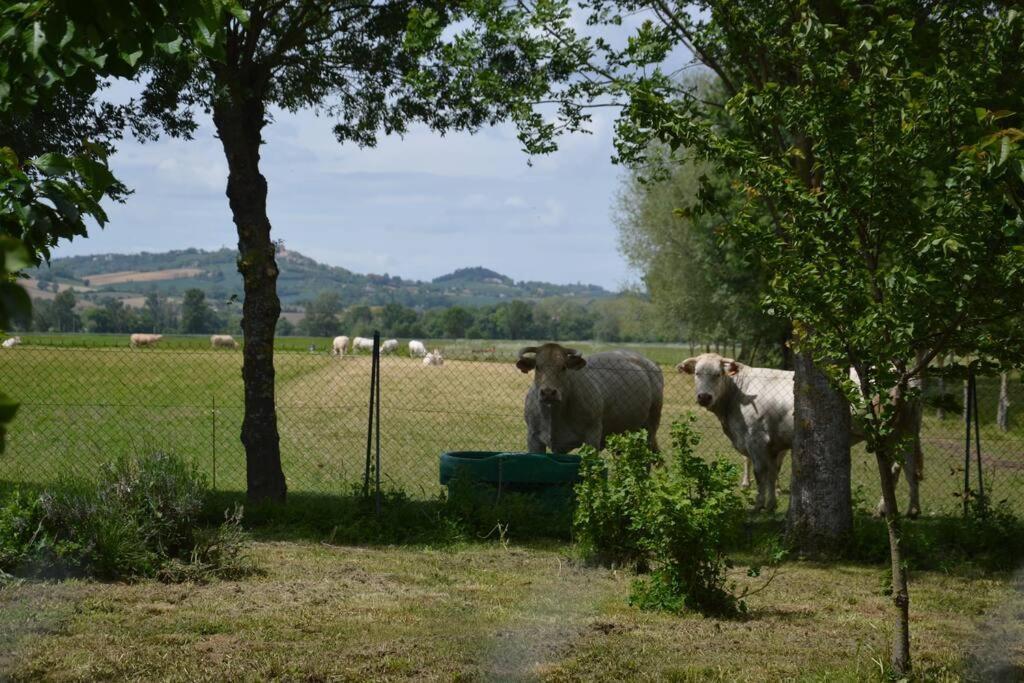 Gite A La Ferme De La Bouriette Revel  Bagian luar foto